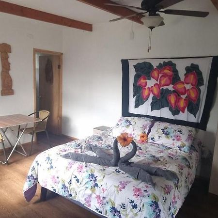앙가로아 Hostal Henua Roa 2 아파트 외부 사진